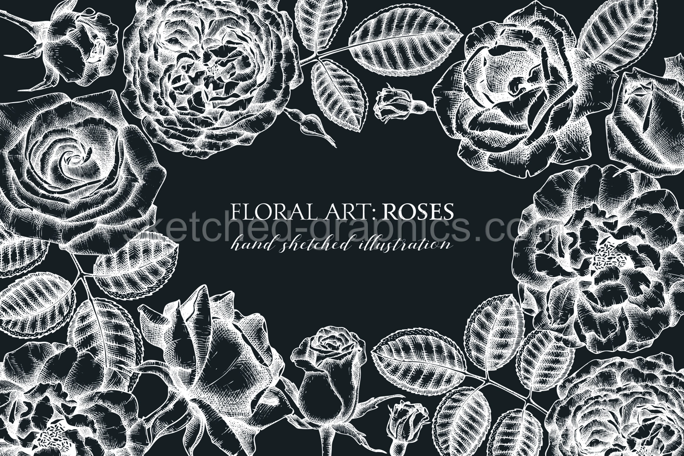 Hand-sketched rose frame on chalkboard. Wedding invitation or greeting card. Floral template. Vintage botanical design with rose flowers. Black and white floral illustration. Rosesin engraving style.  Illustration